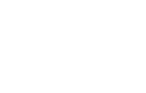 Bushwhack Logo