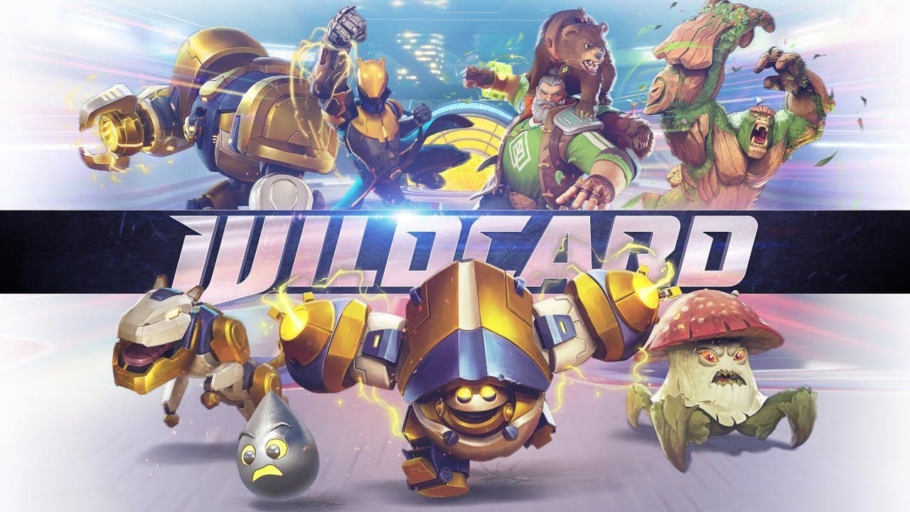 Wildcard